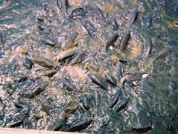photos 2000-200901567